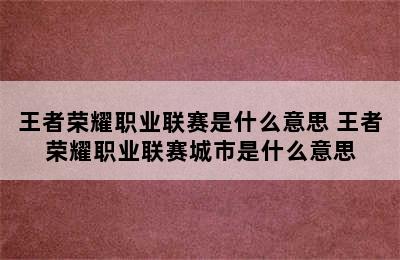 王者荣耀职业联赛是什么意思 王者荣耀职业联赛城市是什么意思